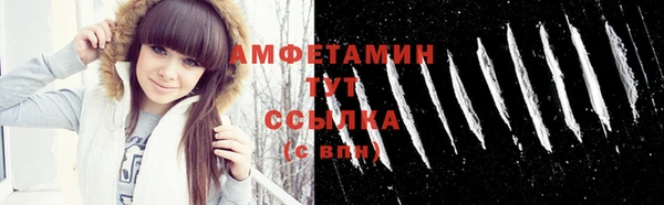 мдпв Пересвет
