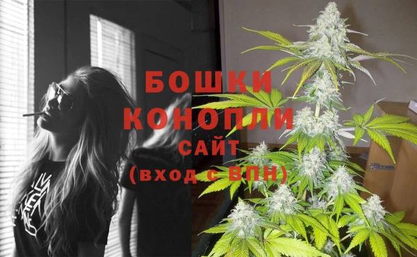мдпв Пересвет