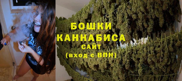 мдпв Пересвет
