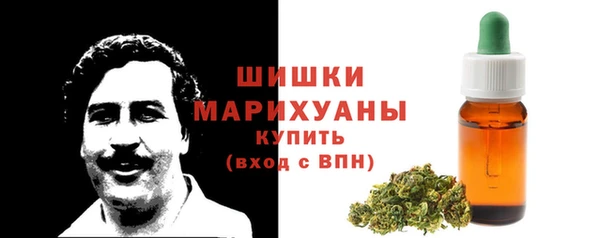 мдпв Пересвет
