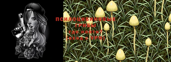 хмурый Переславль-Залесский