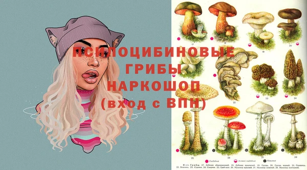 спиды Пестово
