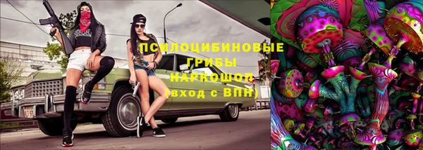 спиды Пестово