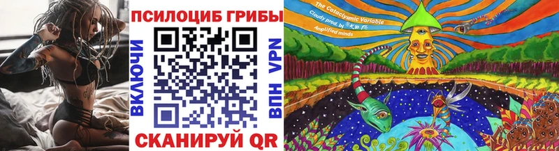 хочу наркоту  Урень  Псилоцибиновые грибы Psilocybine cubensis 